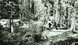Aleza Lake Experimental Station campsite in development in 1925