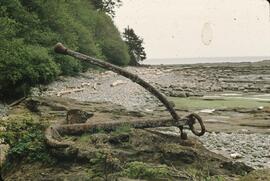 Rusted anchor on beach in the Tsocowis-Tsusiat Falls area on the West Coast Trail