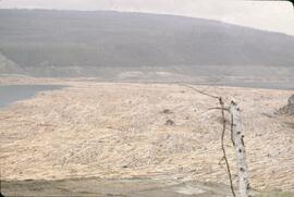 Debris in Williston Lake reservoir