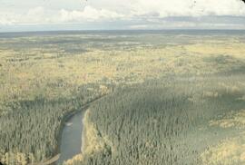 Aerial view of spruce and floodplain at Fontas River
