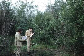 Fieldwork with Dan Blower and Don Benn north of Mt. Edziza