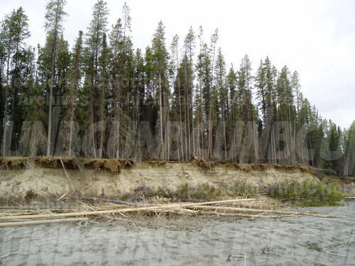 Original Digital object not accessible