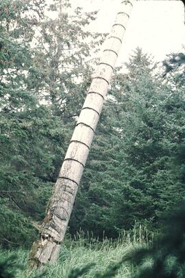 Ninstints totem poles at Anthony Island