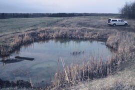Pond research site