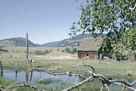 Old barn pond and rangeland near Kamloops