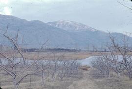 Development and relocated orchards near Osoyoos Lake