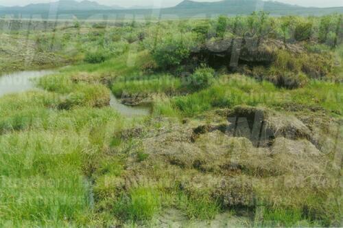 Original Digital object not accessible