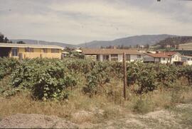 Subdivision construction in Kelowna