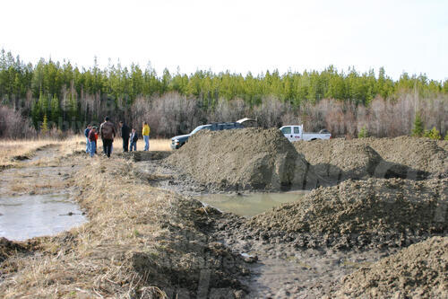 Original Digital object not accessible