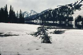 Alpine snow scene on the Corduory trail