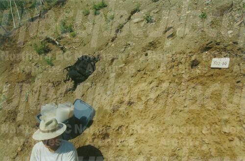 Original Digital object not accessible