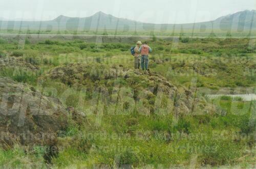 Original Digital object not accessible