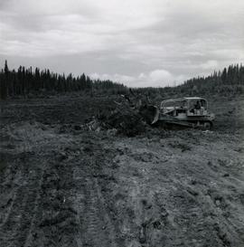 E.P. 646 Clearing at Aleza Lake for Provenance Plantation - South clearing