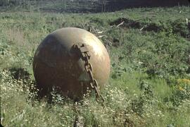 Clearing ball near Mica Dam