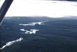 Aerial view of forest and Bonaparte Lake