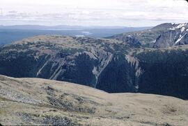 Grasses and mixed alpine at Mount Cronin