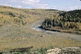 Kiskatinaw River and fall colours