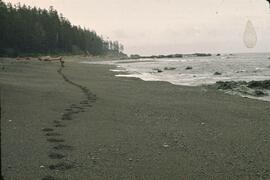 Hiking on beach in the Tsocowis-Tsusiat Falls area on the West Coast Trail