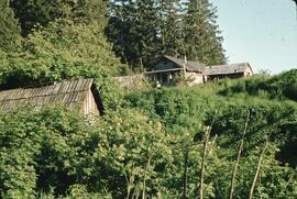 Old derilict houses at Indigenous village in the Nitinat-Whyac area on the West Coast Trail