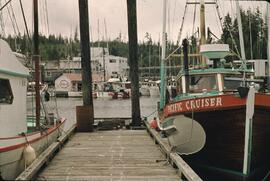 Marina and buildings at Bamfield