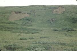 Trenching for mineral exploration at Gnat Lake