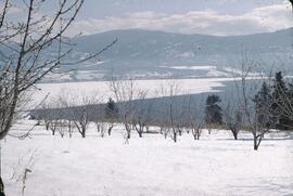 View of partially frozen Okanagan Lake from Lakeview Heights