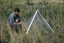 Range exclosure at Gold Creek