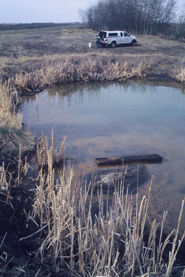 Pond research site