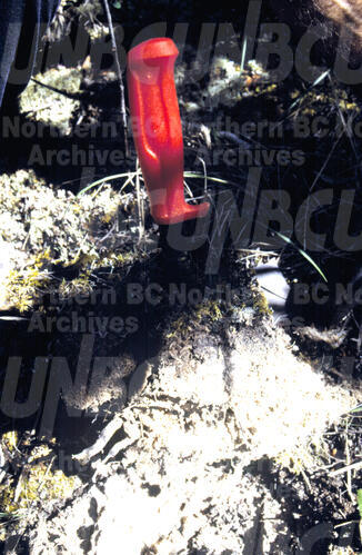 Original Digital object not accessible