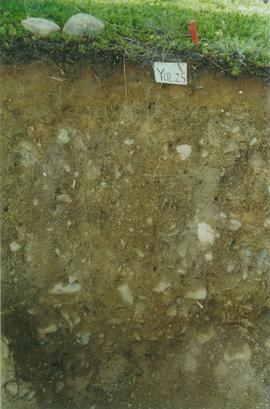Y02-25  Div Ck soil on Reid terrace, McQuesten R - 05