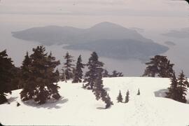 Snowscapes of the Lions