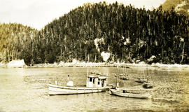 Cannery tender boats