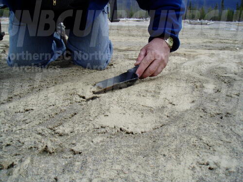 Original Digital object not accessible