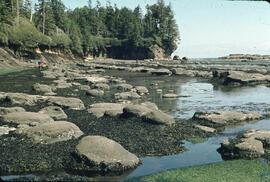 Rocky shoreline between Cullite and Thrasher Cove on the West Coast Trail