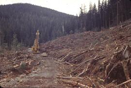 New logging method (grapple yarding) in Nimpkish Valley