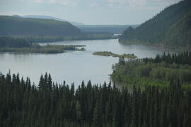 Near Camp 1, facing west down the Yukon River