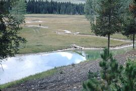 Sulfur springs in Elk Valley
