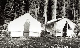 Aleza Lake Experimental Station camp in 1925