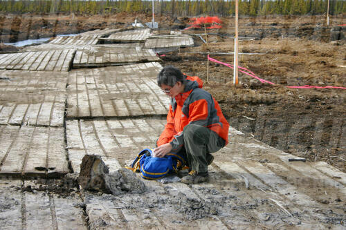 Original Digital object not accessible