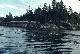Small islands near Rose Harbour