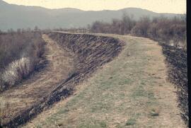 Dyke at Pitt Polder Ecological Reserve