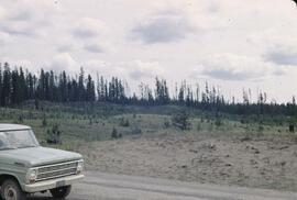 Sand dunes near Vanderhoof