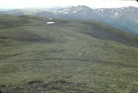 Apline lichen and grasses at Zechtoo Mountain