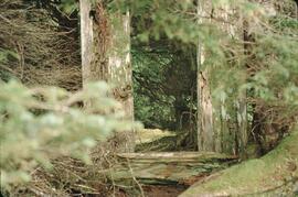 Ninstints totem poles at Anthony Island