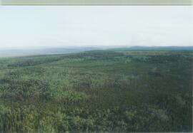 Aerial views (Rock Ck to Dawson) - 01