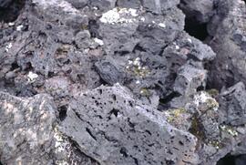 Tseax lava flows near Terrace