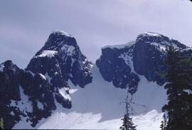Snowscapes of the Lions