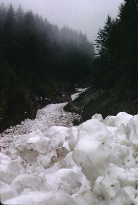 Former snow avalanche deposit, Settlers Road, Upper Kootenay River