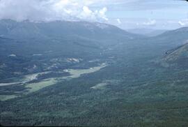Volcanic flow, aspen and conifers at Mess Creek in the Iskut Valley