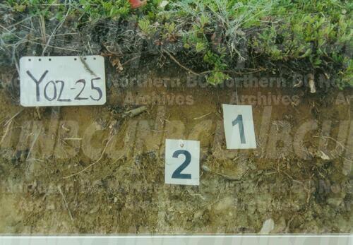 Original Digital object not accessible